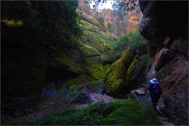 sm 6000.jpg - Old Pinnacles trail ends with an amazing canyon that enters Balconies Caves. Unfortunately, we didn't realize this and without flashlights, it was the end of the trail.